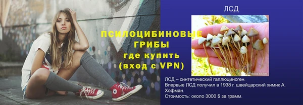 герыч Бородино